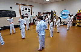 Vechtsport Mix bij Budo-San Sports