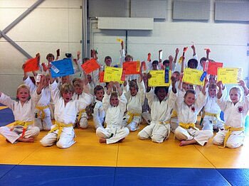 Illustratie bij Van de Kamp Sport | Judo 8-11 jaar
