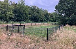 Playground Menuet