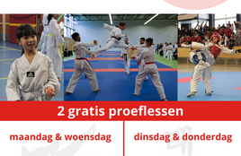 Taekwondo Tussen de Vaarten