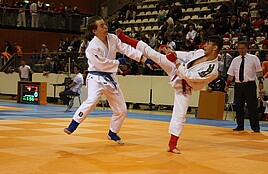 Van de Kamp Sport | Karate 8-11 jaar