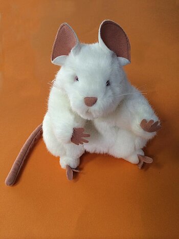 Training Piep zei de Muis